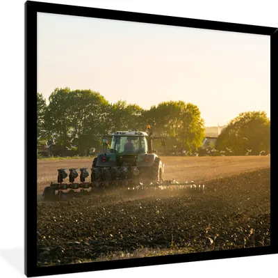 Produktbild von MuchoWow® Gerahmtes Poster Traktor - Vogel - Land 40x40 cm - Poster mit Schwarzem Bilderrahmen Wandposter Rahmen Foto Bilder - Mit Rahmen - Wanddekoration Schlafzimmer