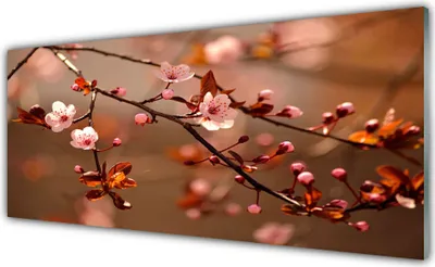 Produktbild von Glasbilder 125x50 Wandbild Druck auf Glas Blütenzweig Natur