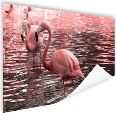 Produktbild von MuchoWow® Poster Eine Gruppe von Flamingos steht im Wasser 180x120 cm - Fotoplakat