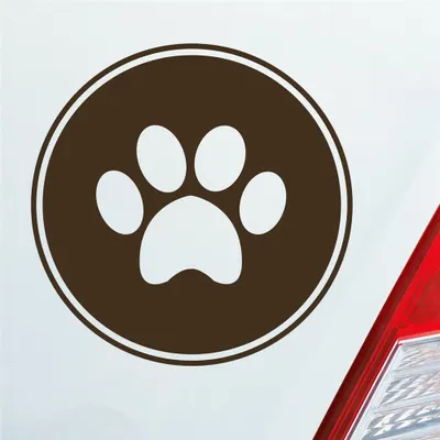 Produktbild von Auto Aufkleber Pfote Paw Dog Hund Tier Haustier Abdruck 10x10 cm Braun Sticker Heckscheibenaufkleber