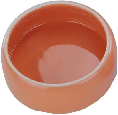 Productafbeelding van Famanu voerbak, keramisch - oranje, 250 ml