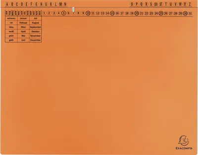 Produktbild von Exacompta 25x Exaflex Standard, Hängehefter mit 1x Abheft, Orange, 371109B