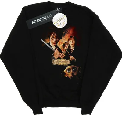Zdjęcie produktu dla Bluza męska Harry Potter – „Komnata Tajemnic” BI28243 (S) (czarna)