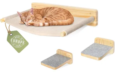 Produktbild von Kletterwand für Katzen - Wandmontierter Kratzbaum - 3 Ebenen - Leiter und Hängematte - Zum Klettern, Schlafen und Spielen - Weiß