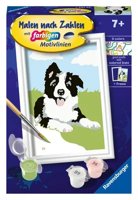 Produktbild von Ravensburger CreArt 23759 - Border Collie Welpe - Malen nach Zahlen Hund für Kinder ab 7 Jahre