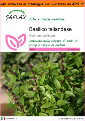 Immagine prodotto di SAFLAX Garden in the bag - Basilico tailandese - 200 semi - Ocimum