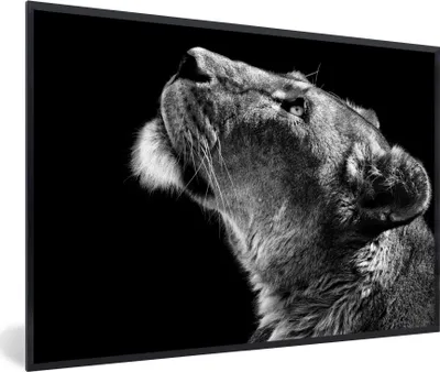 Produktbild von MuchoWow® Gerahmtes Poster Löwe - Tiere - Schwarz und weiß 30x20 cm - Poster mit Schwarzem Bilderrahmen Wandposter Rahmen Foto Bilder - Kunstdruck - Bild-Poster