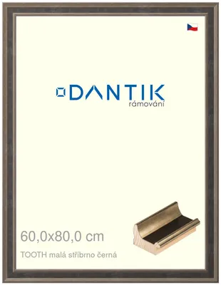 Zdjęcie produktu dla Ramka DANTIK 60x80 | TOOTH mała srebrno-czarna (Plexi Clear)