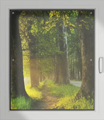 Produktbild von Wallario Lichtschutzbild, Dekorativer Sichtschutz Sonnenschutz 96 x 115 cm mit Motiv: Allee bei Sonnenuntergang - Verdunklung ohne Bohren