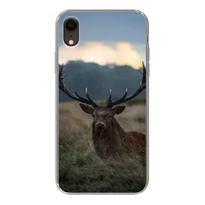 Produktbild von MuchoWow® Handyhülle Schutzhülle Hülle für iPhone XR Hirsch - Wiese - Geweih Silikon Softcase Handy Hülle - Schutzdeckel