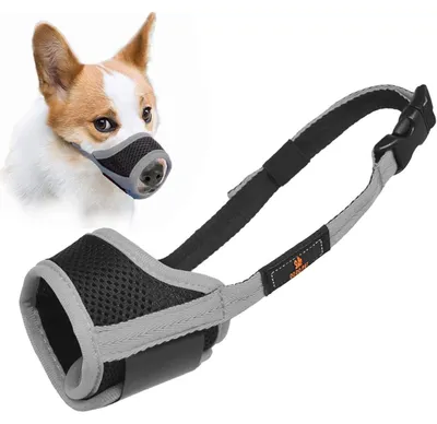 Immagine prodotto di Bocchetta traspirante per cani, regolabile, con chiusura a strappo, in rete, colore grigio, taglia XL