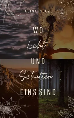 Produktbild von Wo Licht und Schatten Eins sind