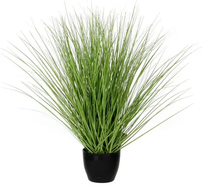 Produktbild von Mica Decorations Kunstliche Pflanze - Ziergras - grun - im Topf - H50 cm