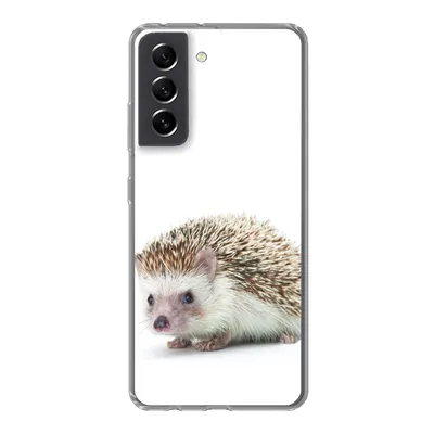 Produktbild von MuchoWow® Handyhülle Schutzhülle Hülle für Samsung Galaxy S21 FE Igel - Tiere - Weiß Silikon Softcase Handy Hülle - Mobiltelefonhülle