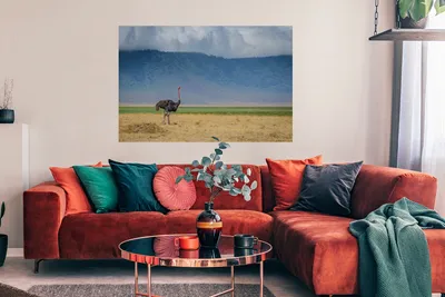 Produktbild von MuchoWow® Poster Strauß inmitten der Savanne des Ngorongoro-Kraters in Tansania 120x80 cm - Bilder
