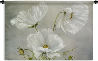 Produktbild von MuchoWow® Wandteppich Wandbehang Blumen - Stillleben - Mohn - Weiß - Botanisch 150x100 cm Tapisserie Dekoration Wandtuch - Waschbar - Tapisserien - Wand-Decke
