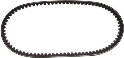 Zdjęcie produktu dla Malossi Keilriemen Malossi Verst. 18,8X814 Mm