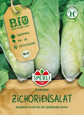 Artikelbild 2 von 'Zichoriensalat Zuckerhut' aus der Kategorie Zuckerhutsamen