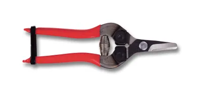 Image de ARS 310 Ciseaux à fruits rouge | conçus pour couper les fruits, légumes et autres récoltes | 90 grammes | longueur 160mm | les mains ne se fatiguent pas