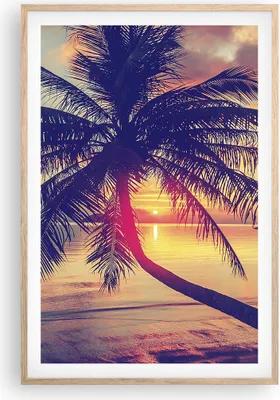 Produktbild von Gerahmtes Poster - Rahmen in heller Eiche - Meer Strand Palme - 61x91,5 cm - Wand Bild - Wanddeko - Wandbilder - Wandposter - Bilderrahmen - Bilder - Kunstdruck - Wandbild - P2NPA61x91-3925