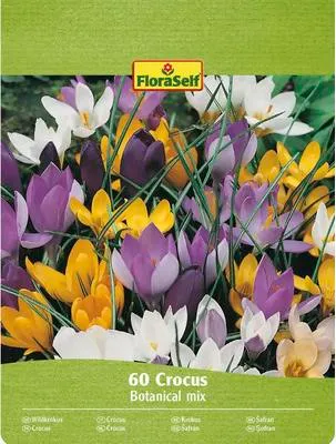 Obrázek produktu pro Krokusy FloraSelf 'Botanický mix' 60 ks