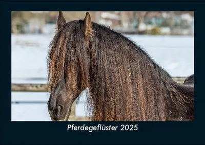 Produktbild von Pferdegeflüster 2025 Fotokalender DIN A5