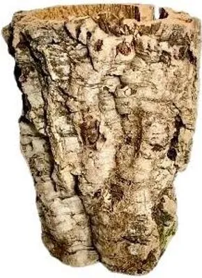 Produktbild von Korkrinde 25 bis 40cm Erwin's Terrarienwelt Außendurchmesser: ca. 15-20 cm