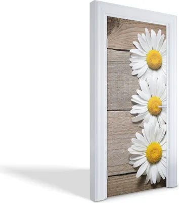 Produktbild von Türfolien Design Selbstklebende Wandsticker Türtapeten - Drei Gänseblümchen - 95 x 205 cm