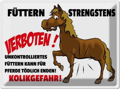 Produktbild von vianmo Blechschild 30x40 cm füttern strengstens verboten Spruch Zitat