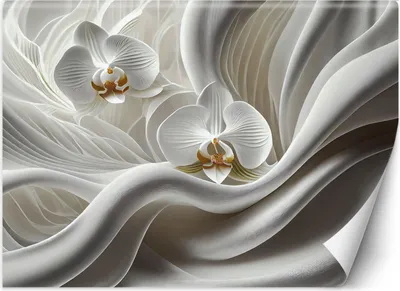 Produktbild von Vlies fototapete Weiße Orchidee und abstraktes 3D 450x315 cm Feeby Weiß inkl. Kleber einfache Montage