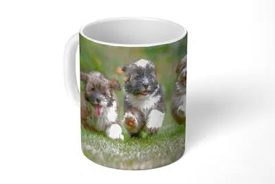 Produktbild von KitchenYeah® Tasse Kaffeetasse Kaffeebecher 350 ml Welpen - Hunde - Tiere Teetasse - Fototasse - Becher - Keramikbecher - Teebecher - Kaffeetasse - Bürotasse