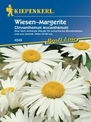 Produktbild von KIEPENKERL Chrysanthemum Leucanth.