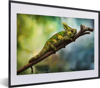 Produktbild von MuchoWow® MuchoWow® Gerahmtes Poster Grünes Chamäleon auf einem Ast 40x30 cm - Poster mit zchwarzem Bilderrahmen - Bilderrahmen - Poster im Rahmen