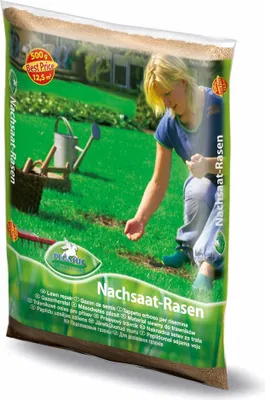Produktbild von Pegasus Nachsaat-Rasensamen, 0.5 kg