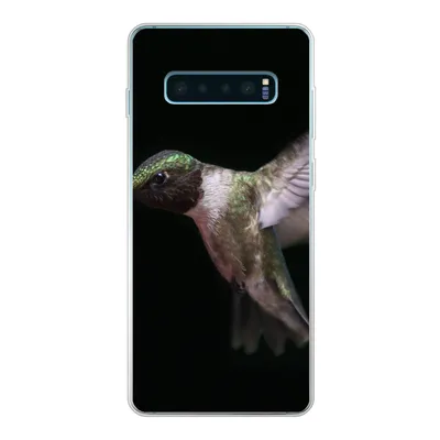 Produktbild von MuchoWow® Handyhülle Schutzhülle Hülle für Samsung Galaxy S10 Lite Rubinkehl-Kolibri auf schwarzem Hintergrund Silikon Softcase Handy Hülle