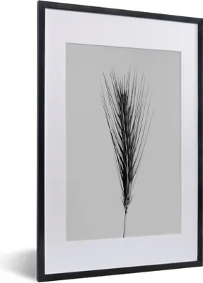 Produktbild von MuchoWow® MuchoWow® Gerahmtes Poster Pflanzen - Schilf - Natur - Schwarz und weiß 40x60 cm - Poster mit zchwarzem Bilderrahmen - Poster in Rahmen