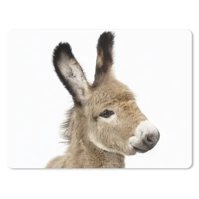 Produktbild von MuchoWow® Mauspad Mousepad Esel - Braun - Tiere - Natur 23x19 cm - Mousepads - Maus Mat - Pad - Mausunterlage - Schreibtischunterlage - Mauspad