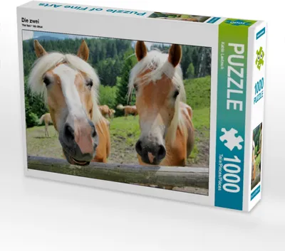 Produktbild von Calvendo Die zwei 1000 Teile Puzzle quer 640x480mm, Lantzsch Katrin; 7453454