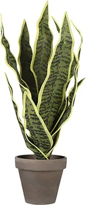 Obrázok produktu pre Sľudové dekorácie Sansevieria Umelá rastlina 30 cm zelená zelená jedna veľkosť