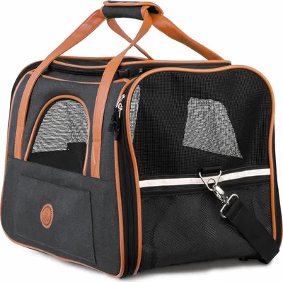 Produktbild von Hundetasche - Robust und formstabil - Bis 65 kg - Zusammenklappbar - Autotransportbox