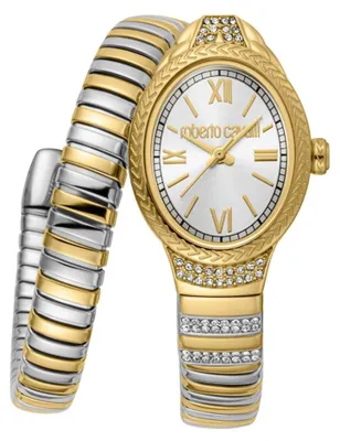 Image de Roberto Cavalli Montres MP245998