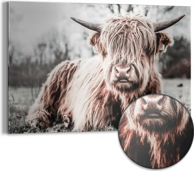 Produktbild von DEQORI Magnettafel Metall 60x40 cm 'Ruhendes Hochland' Whiteboard Pinnwand Büro