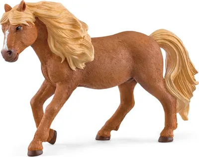 Produktbild von Schleich Horse Club Island Pony Hengst