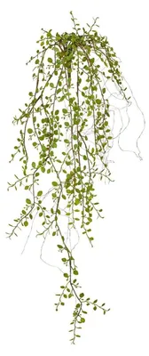 Produktbild von Kunstpflanze Mühlenbeckianhängezweig - L 91 cm - Grün - Kunststoff
