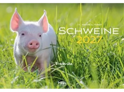 Produktbild von Schweine Kalender 2027
