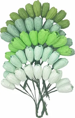 Zdjęcie produktu dla Tulipany - mix zielony - 50szt