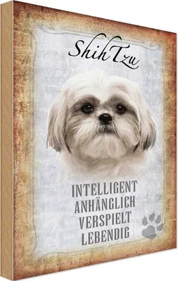Produktbild von vianmo Holzschild 18x12 cm Shih Tzu Hund Tier Haustier