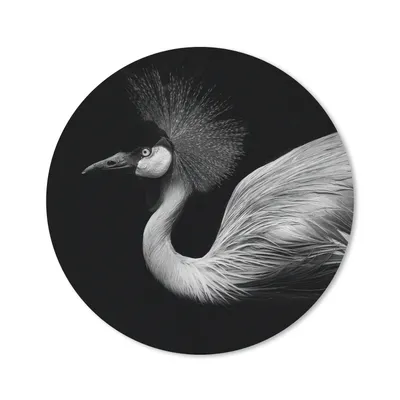 Produktbild von MuchoWow® Mauspad Mousepad Kranich - Schwarz - Weiß - Vogel - Tiere 20x20 cm - Mousepads - Maus Mat - Pad - Mausunterlage - Schreibtischmatte