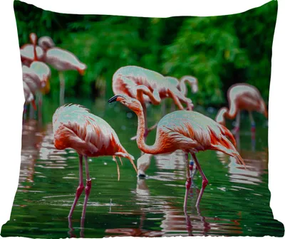 Produktbild von MuchoWow® Outdoor Kissen - Flamingo - Tropisch - Vogel - Wasser - Rosa - 40x40 cm - Wetterfest - Lounge Kissen - Kopfkissen - Interieur - Polster mit Bild