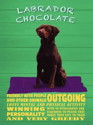 Produktbild von vianmo Holzschild 40x30 cm Labrador Chocolate Hund